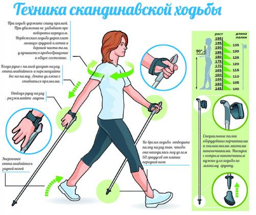 Польза и техника занятий даосской ходьбой на коленях