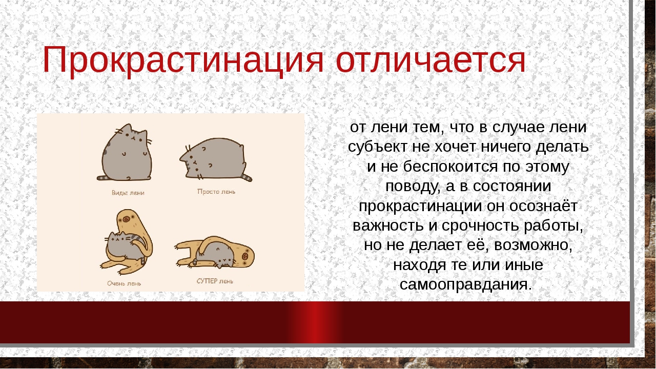 Прокрастинация: что значит прокрастинировать и как с этим бороться - из прокрастинаторов в победители