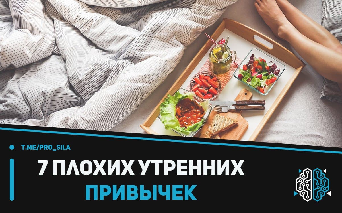 100 коротких мотивирующих цитат и фраз на каждый день :: инфониак